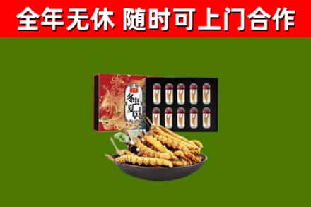 阜平烟酒回收冬虫夏草礼盒.jpg